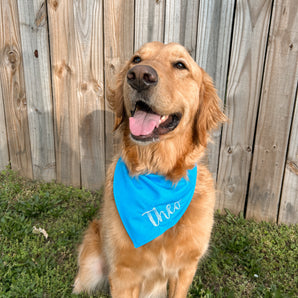 Custom Dog Bandana