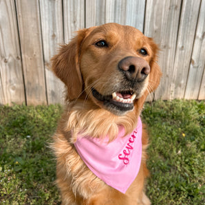 Custom Dog Bandana